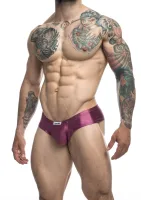 Bikiny s lícnicou — obrázok 20