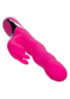 Wave Action Bunny — obrázok 4