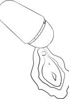 Zadarmo X — obrázok 14