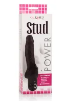 Power Stud Cliterrific — obrázok 3