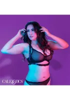 Postroj s prackou Halter Buckle Harness Plus — obrázok 6