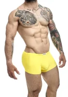 Klasický boxer — obrázok 17