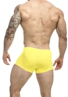 Klasický boxer — obrázok 15