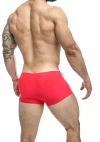 Klasický boxer — obrázok 10