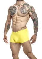 Klasický boxer — obrázok 21