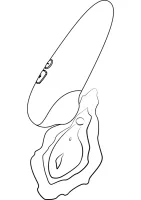 Lesk X — obrázok 14